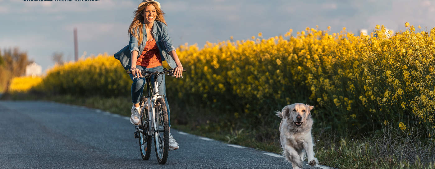 Online schade of diefstal van uw fiets melden